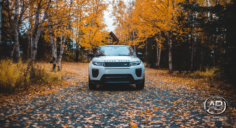vehicle in the fall